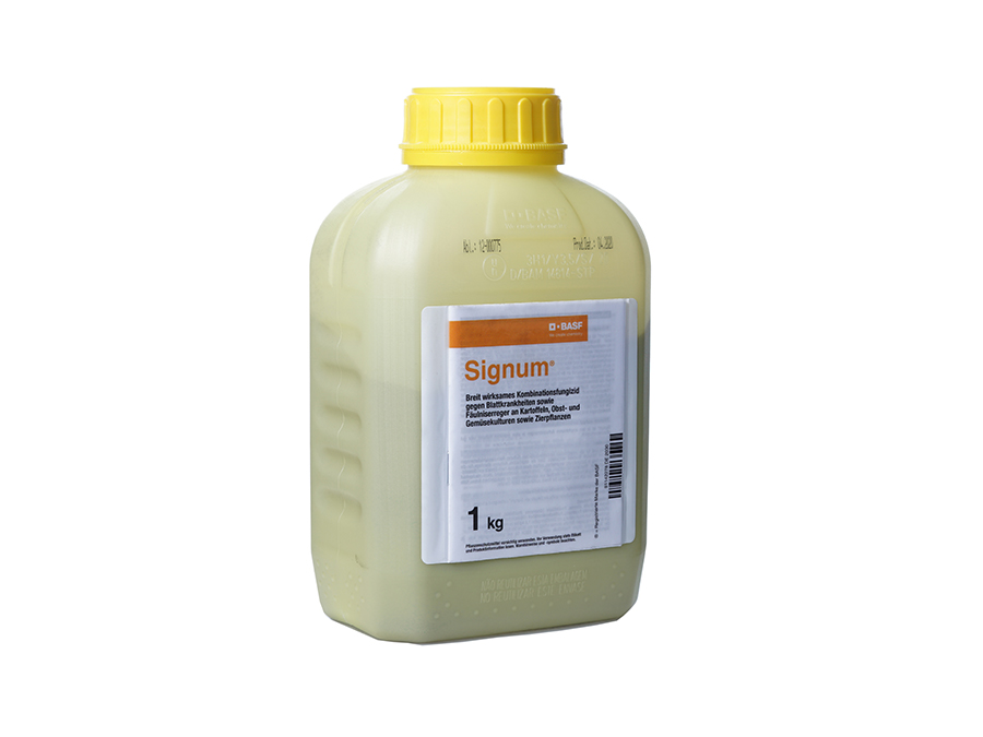 Signum 1 kg 